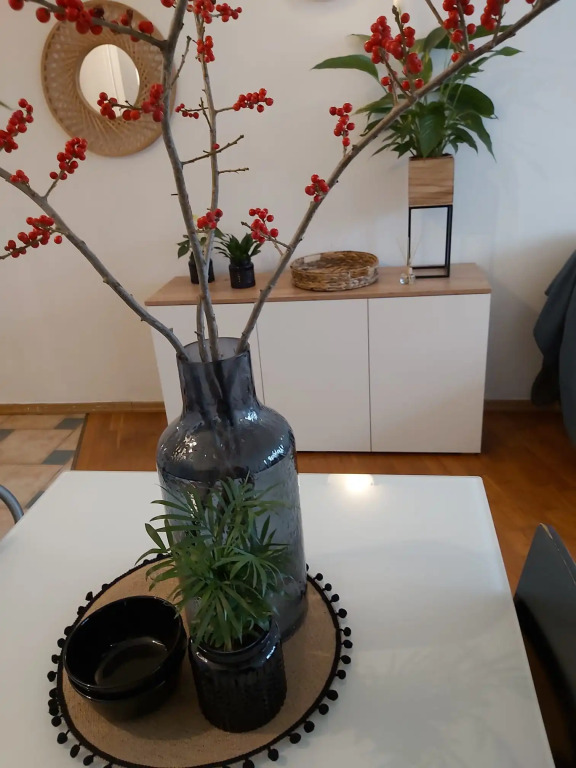 Apartment 2 rooms nearby the sea 900 meters