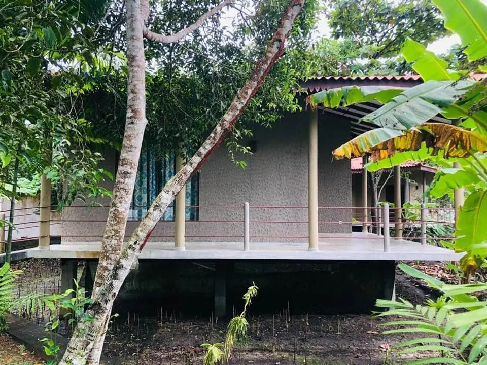 Mass Eco Cabana by Ruby
