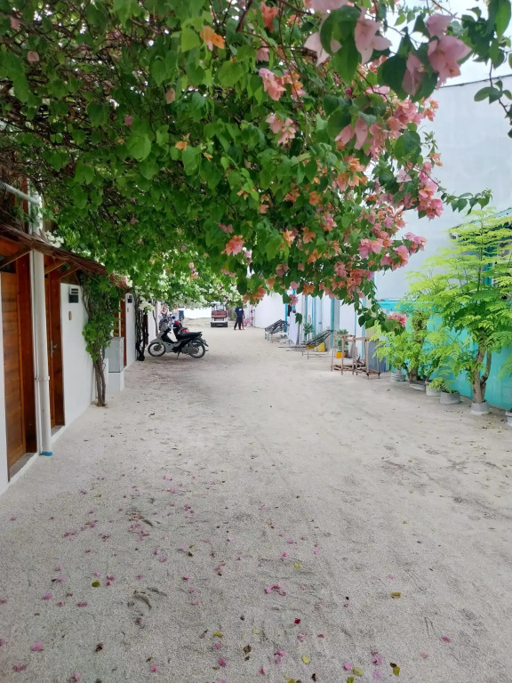 Гостевой дом Navaya Dhiffushi
