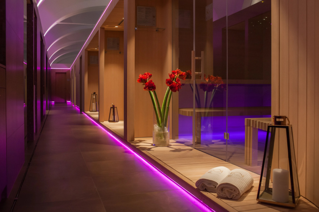 Отель Rogaška & ROI SPA