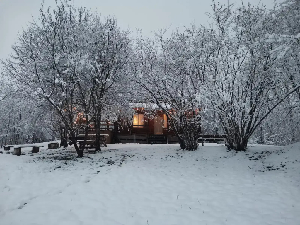 Грушовая вода