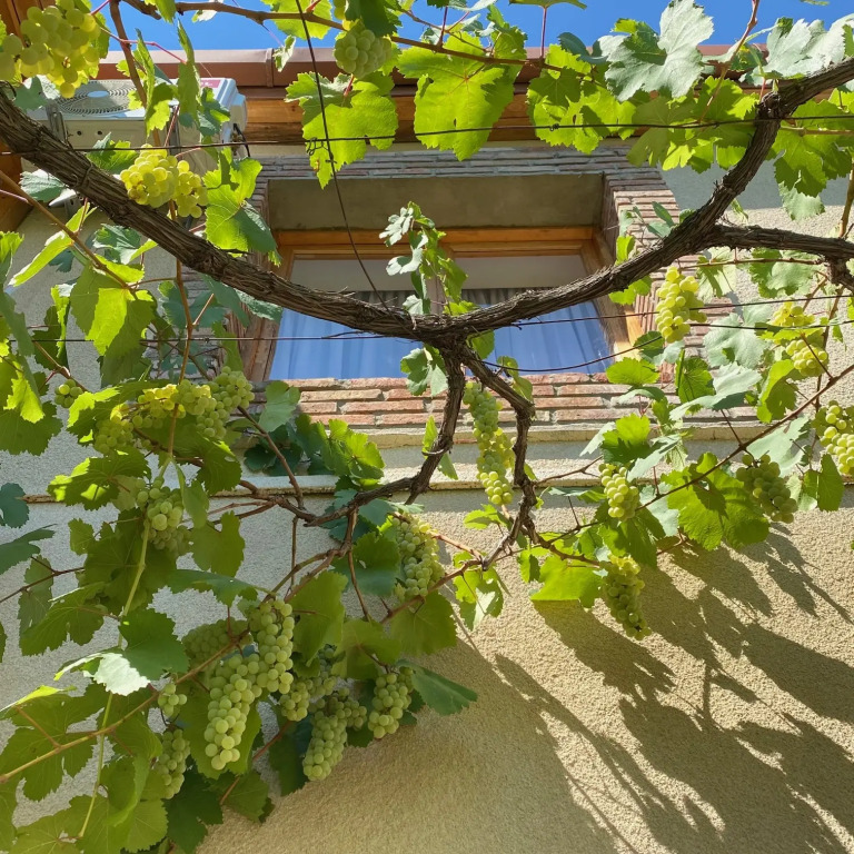 Отель Veranda