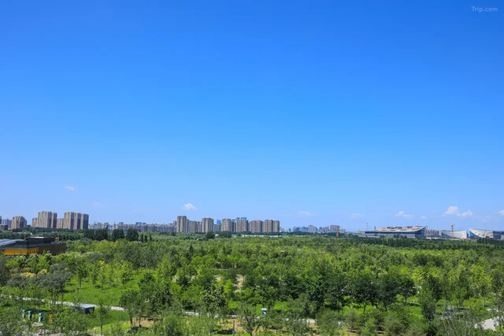 Отель Central Green Tennis