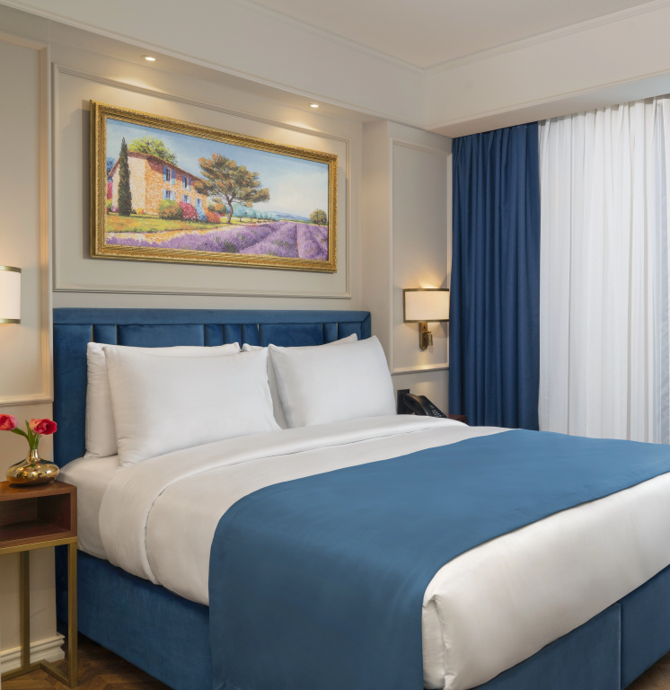Отель Royan Hagia Sophia Istanbul, A Member Of Radisson Individuals