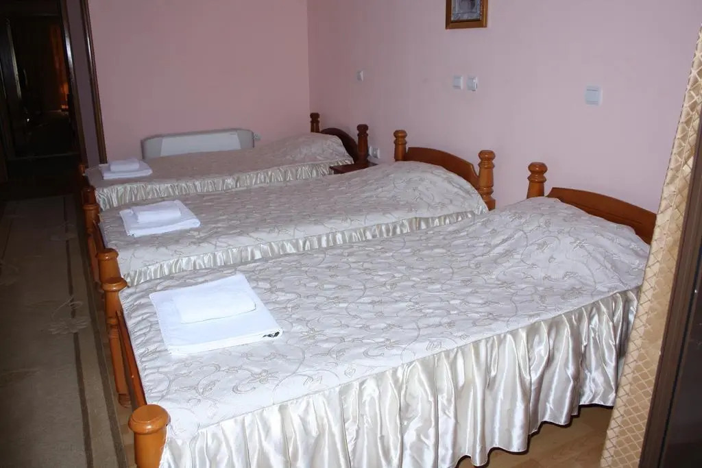 Hotel Mizo
