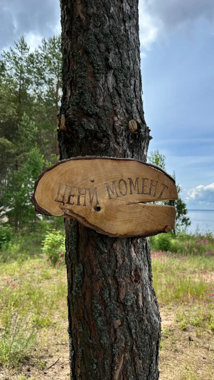Глэмпинг Берег Грифона