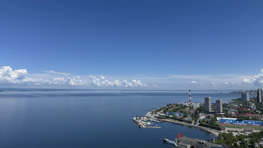 Квартира панорамная 4х комнатная с красивым видом на Амурский залив