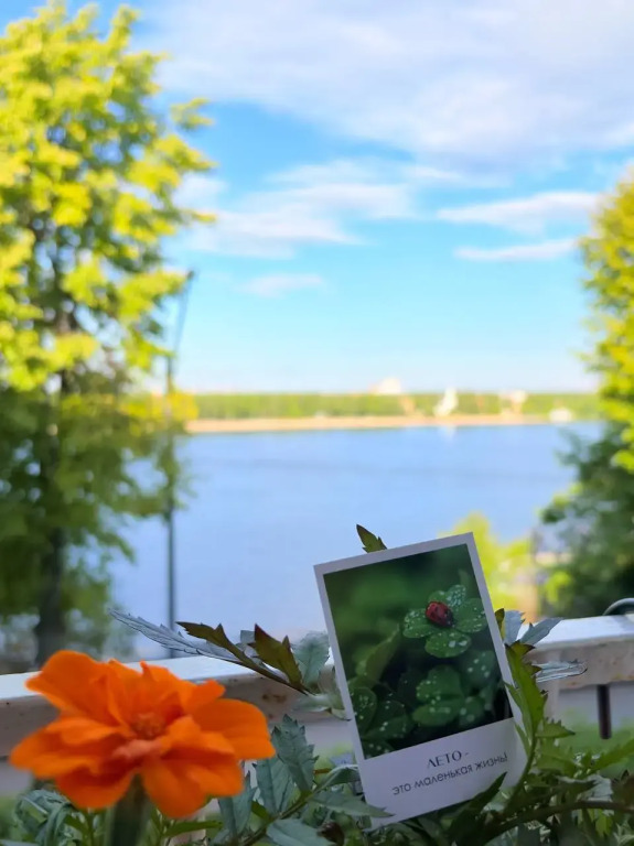 Апартаменты с Видом на Волгу