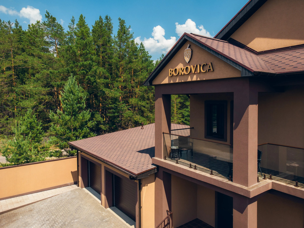 Частный дом Borovica House
