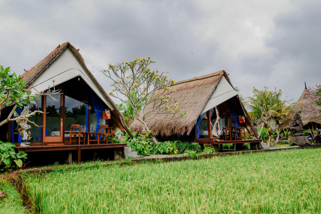 Ubud Rice Field Stay - Mahari by WAHM
