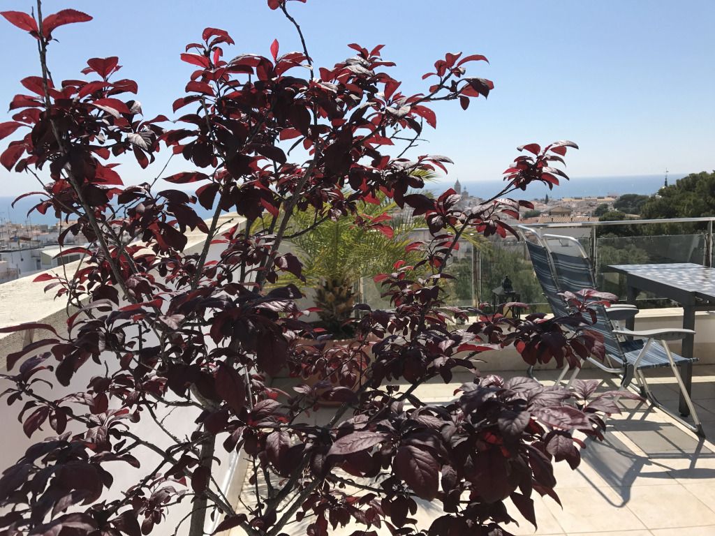Апартаменты Sitges Sea View