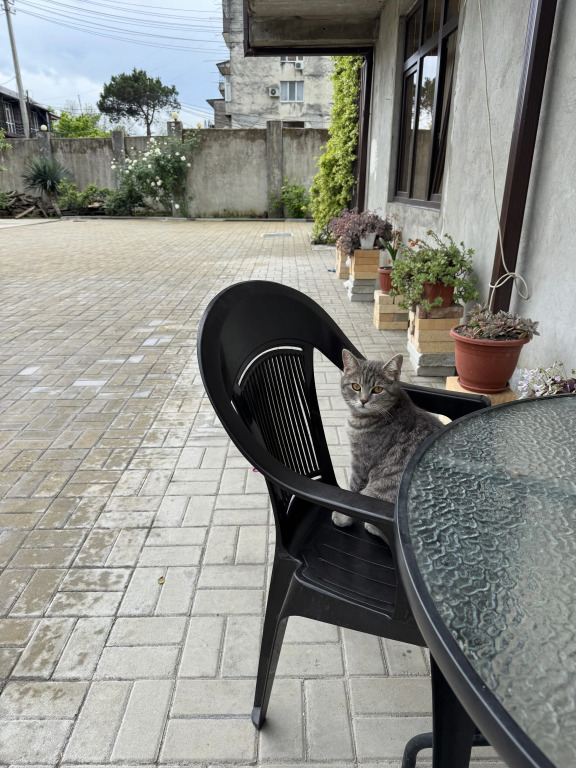 Dias Guest House