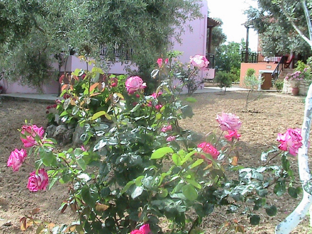 Вилла Athina