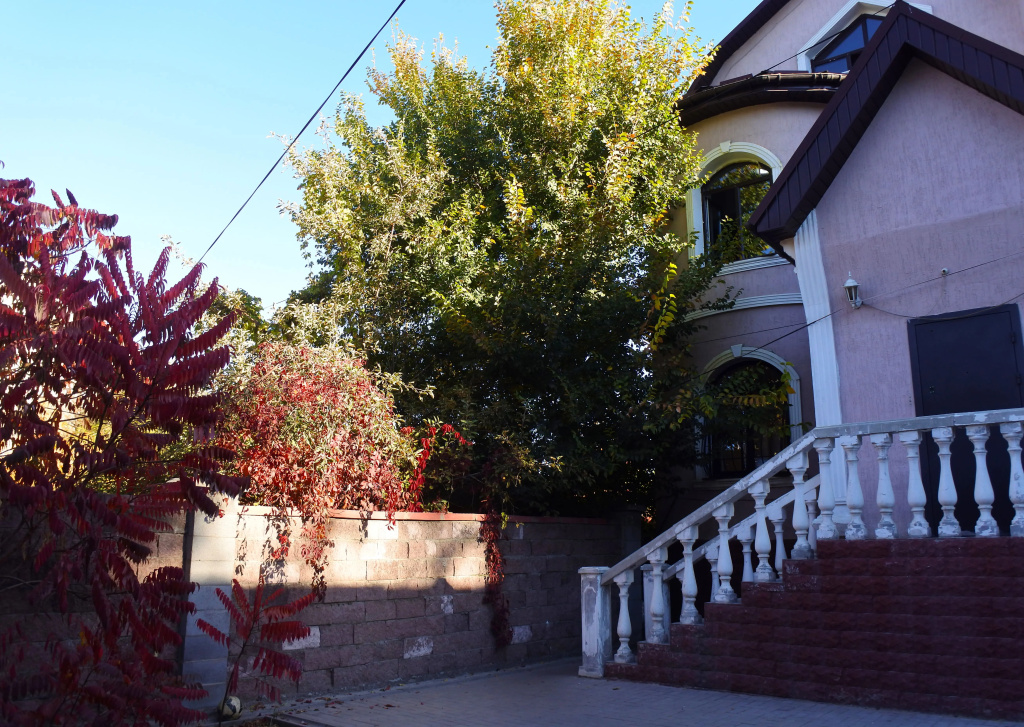 Almaty Backpackers Hostel