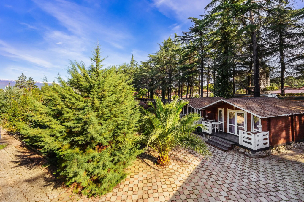 Курортный отель Отель Eco House Pitiunt