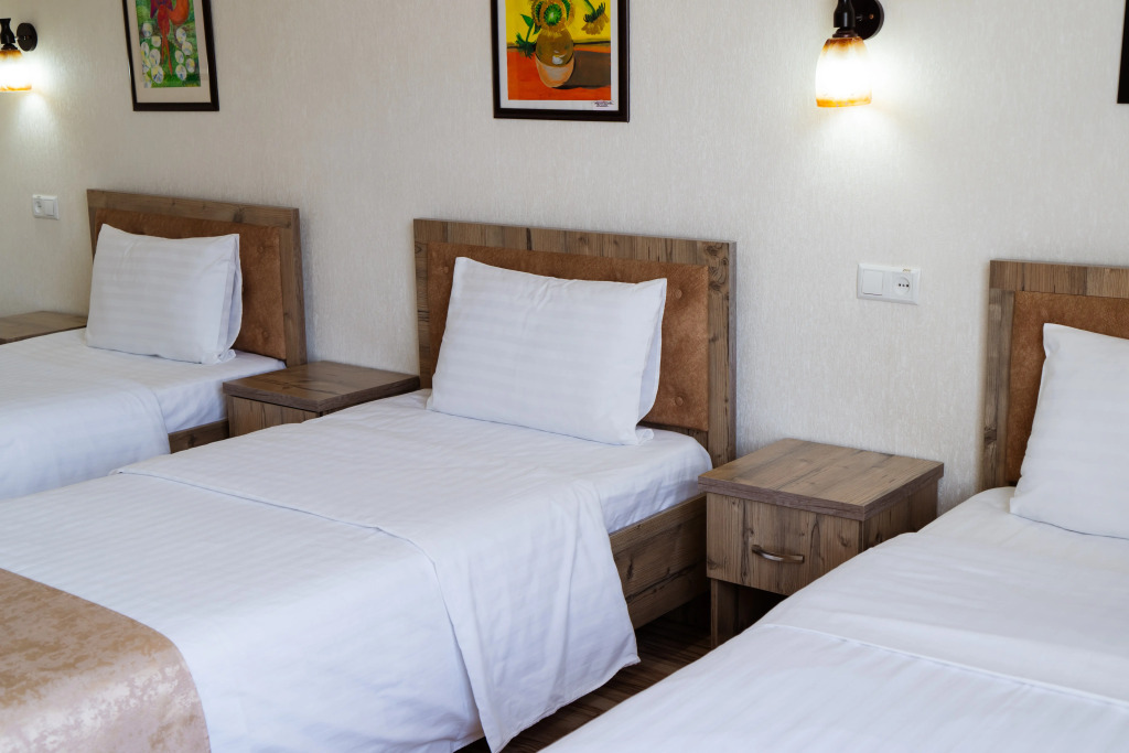 TOURIST INN hotel