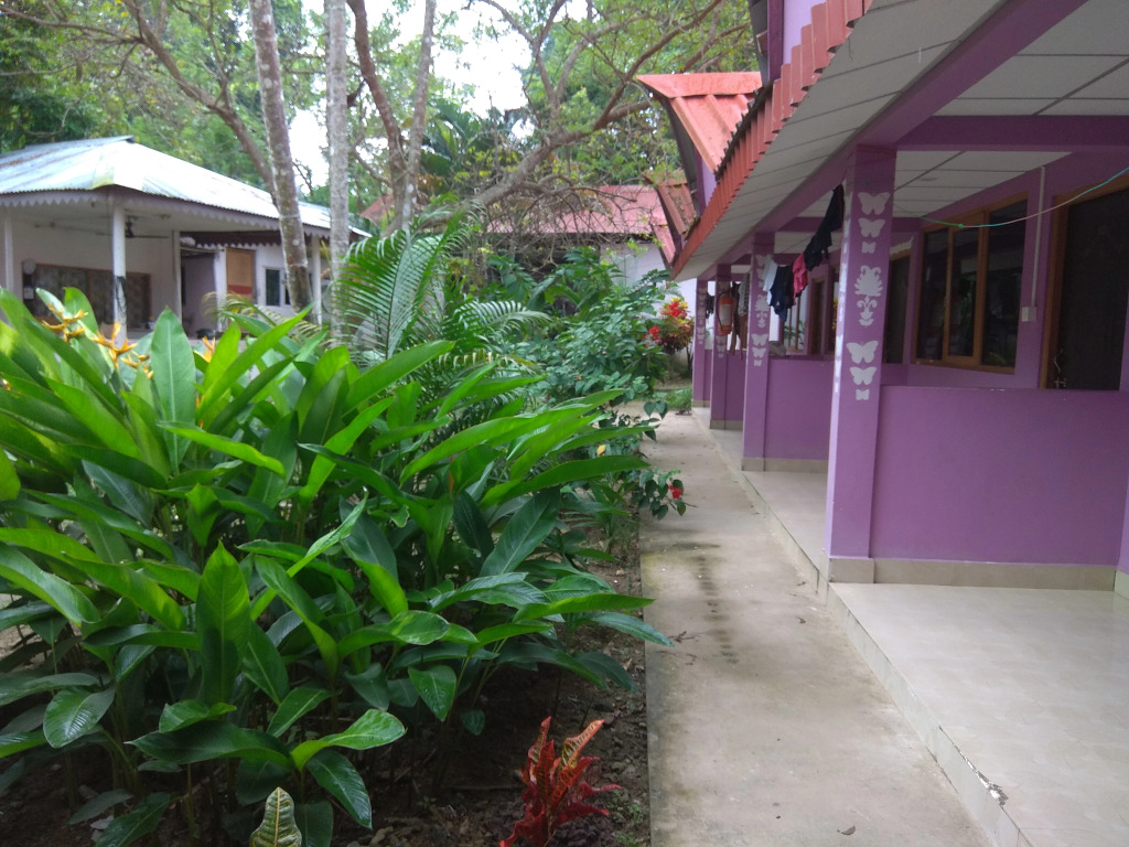 Harmony - Havelock Island