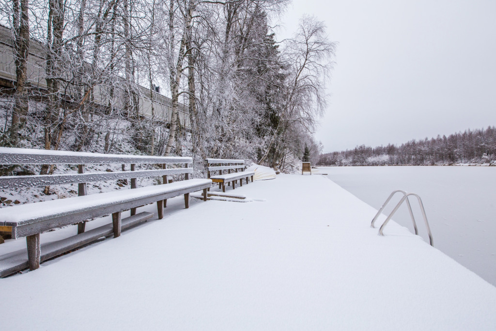 Arctic Resort Delight