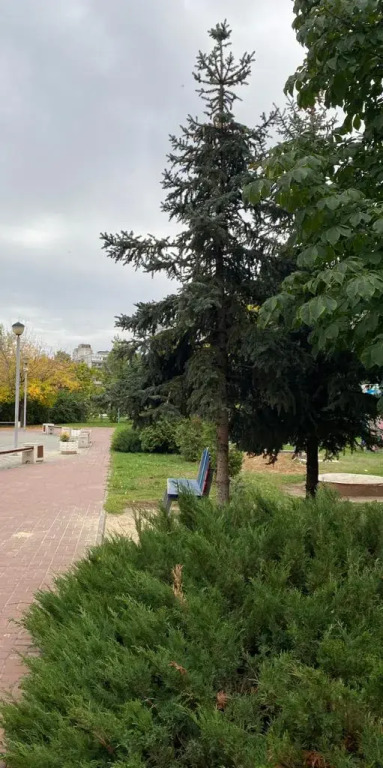 Квартира Просторная квартира
