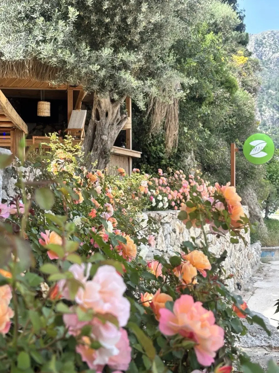 Отель Z-Villas Beach Hotel