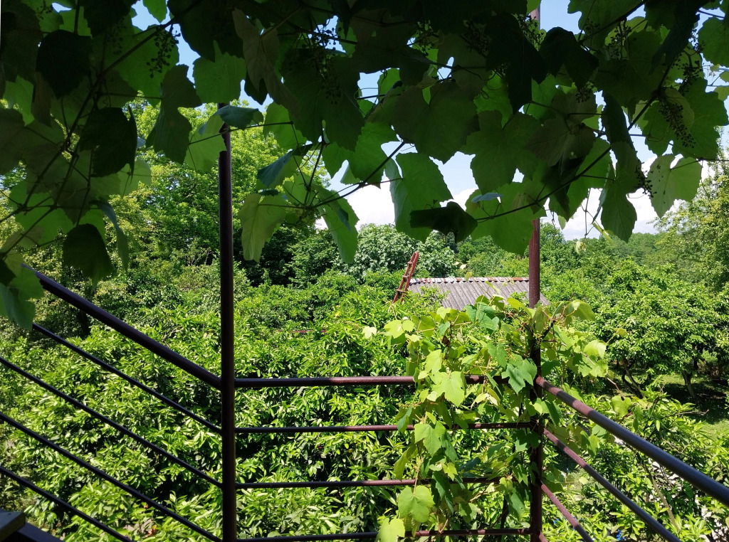 Hotel Mandarinovy Bereg