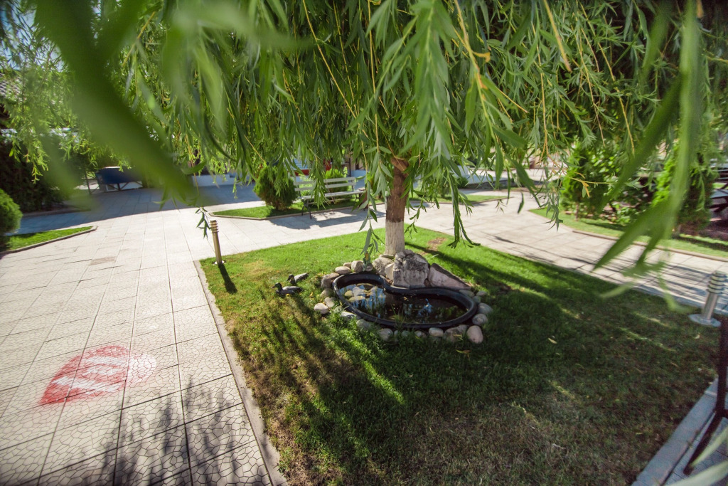 Hotel Picnic Park