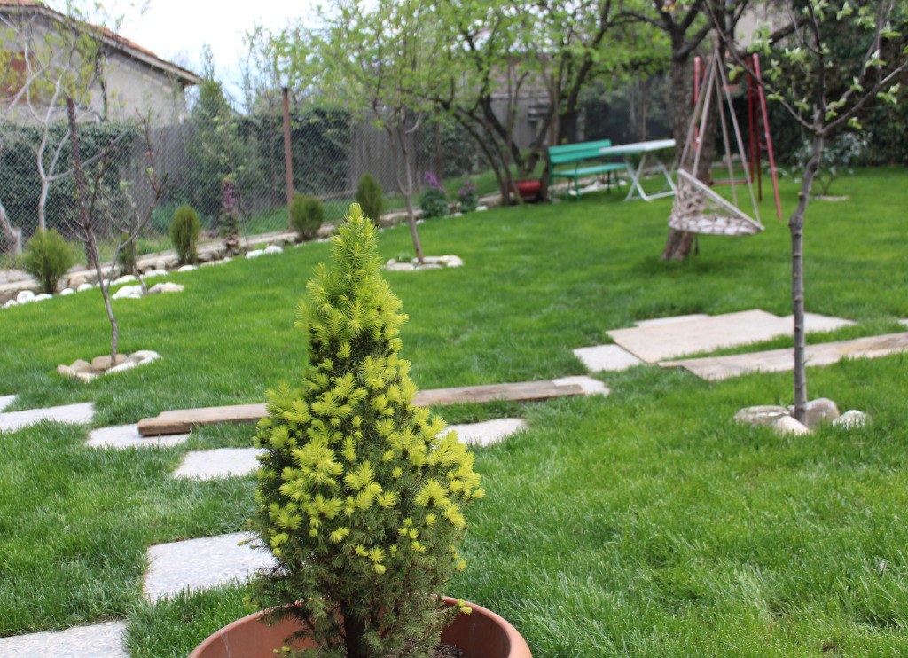 Guest House Poligloti