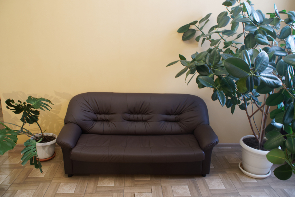 Отель Альфа