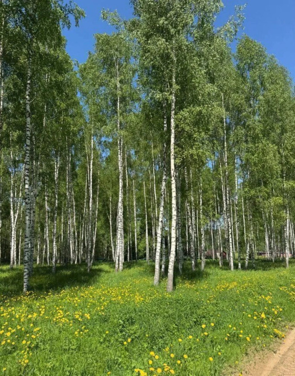 Частный Дом Уютный Деревянный Домик №3 Kpaсный Луг