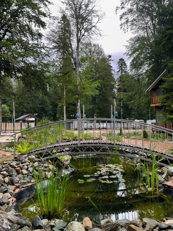 Отель Green Park Spa & Усадьба