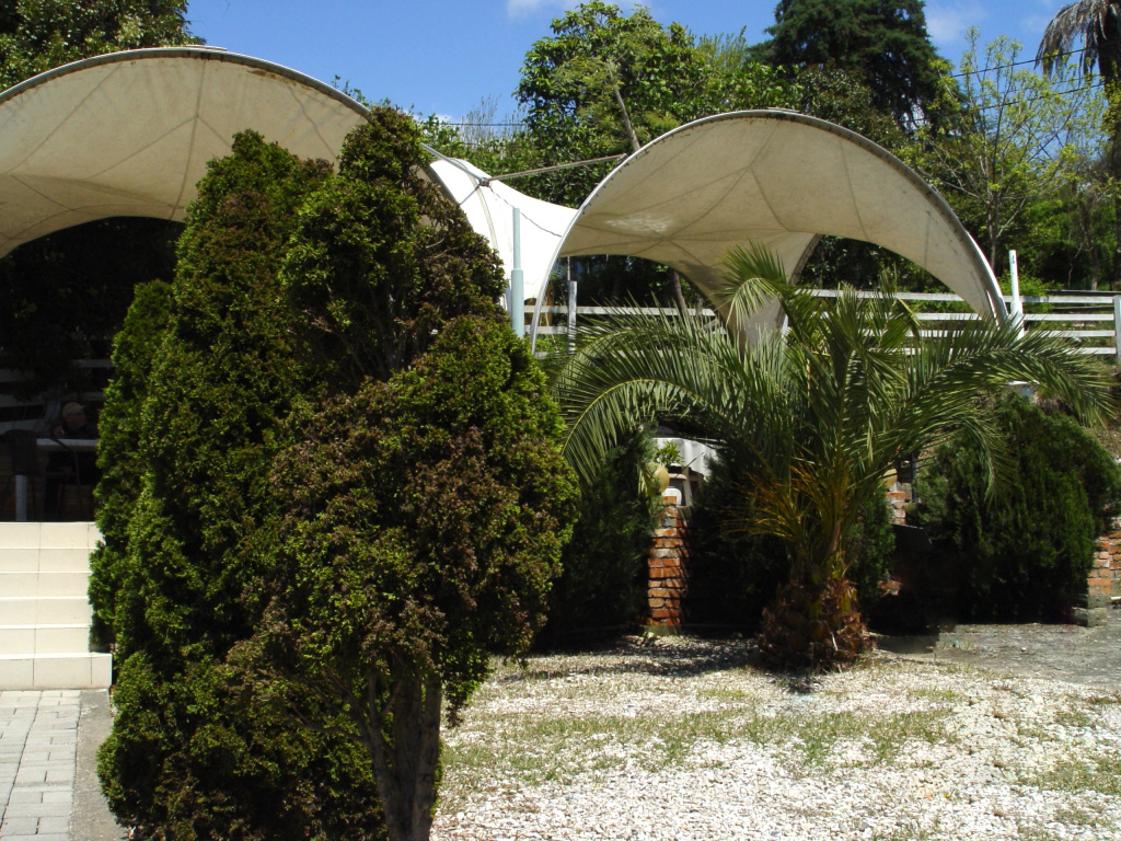 Отель Palm Hotel