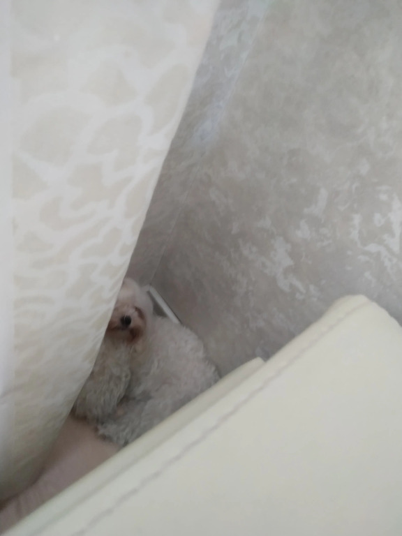 Гостевой дом Nemiga