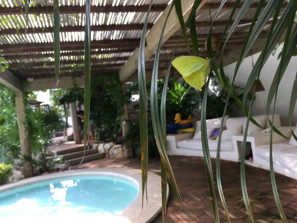 Villa Maria Bed and Breakfast