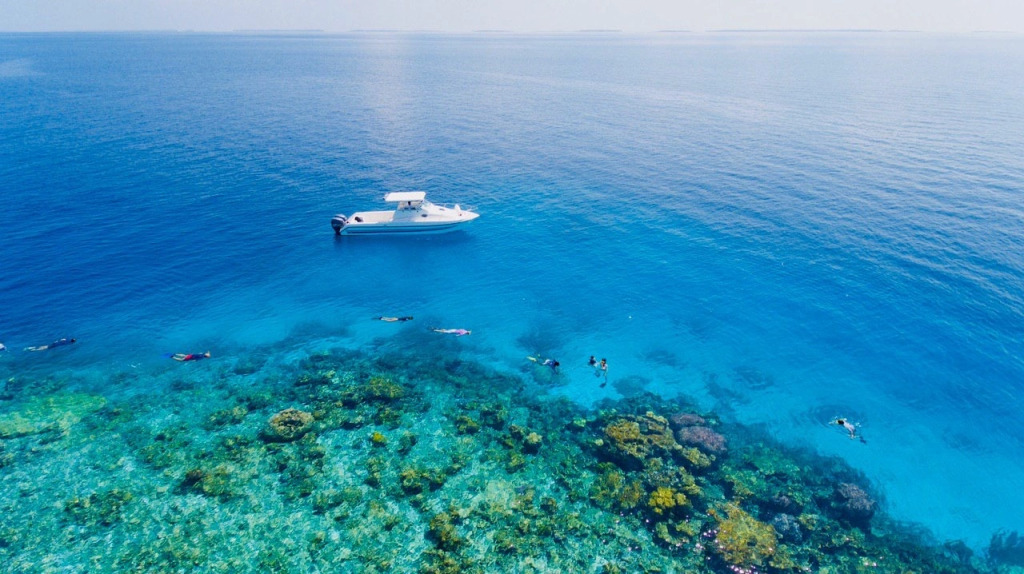 Отель Reveries Maldives
