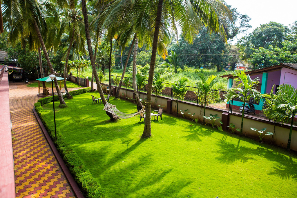 Lazy Frog Guest House