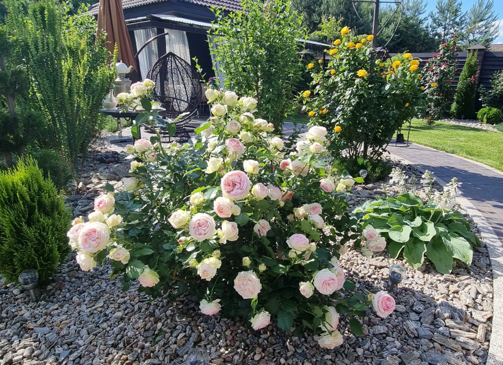 Частный дом Brest Dream Garden