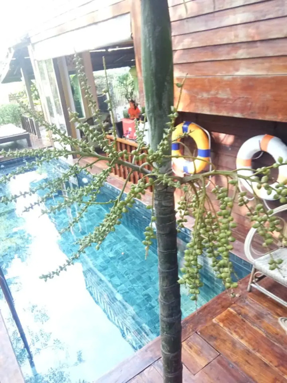 Seven Senses Guesthouse
