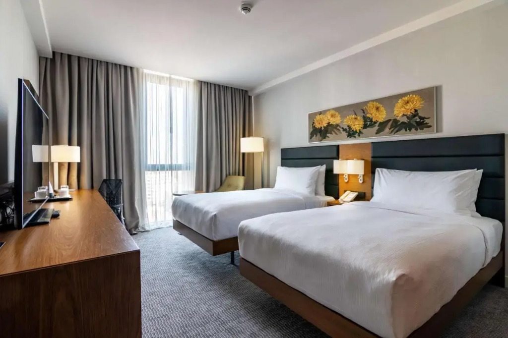 Отель Hilton Garden Inn Tbilisi Chavchavadze