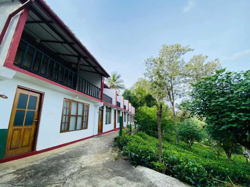 Курортный отель The Tea Tree Resort