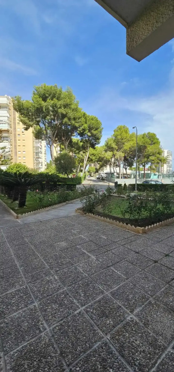 Апартаменты Studio Campoamor with sea view