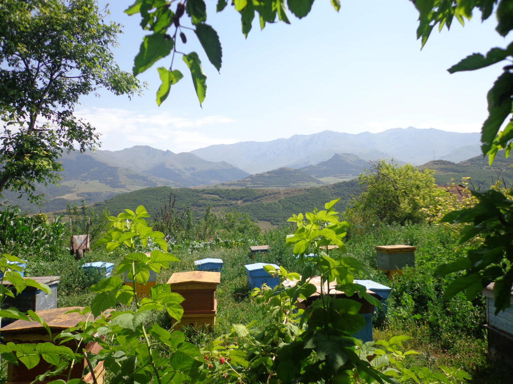Anush`s B&B