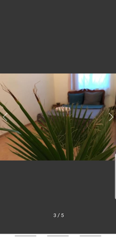 Хостел Light guest house