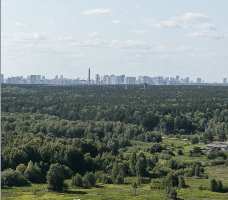 Апартаменты Серый Гусь