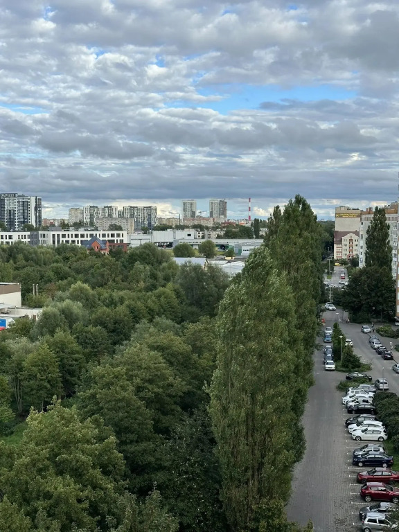 Квартира Двушка на Каштанке