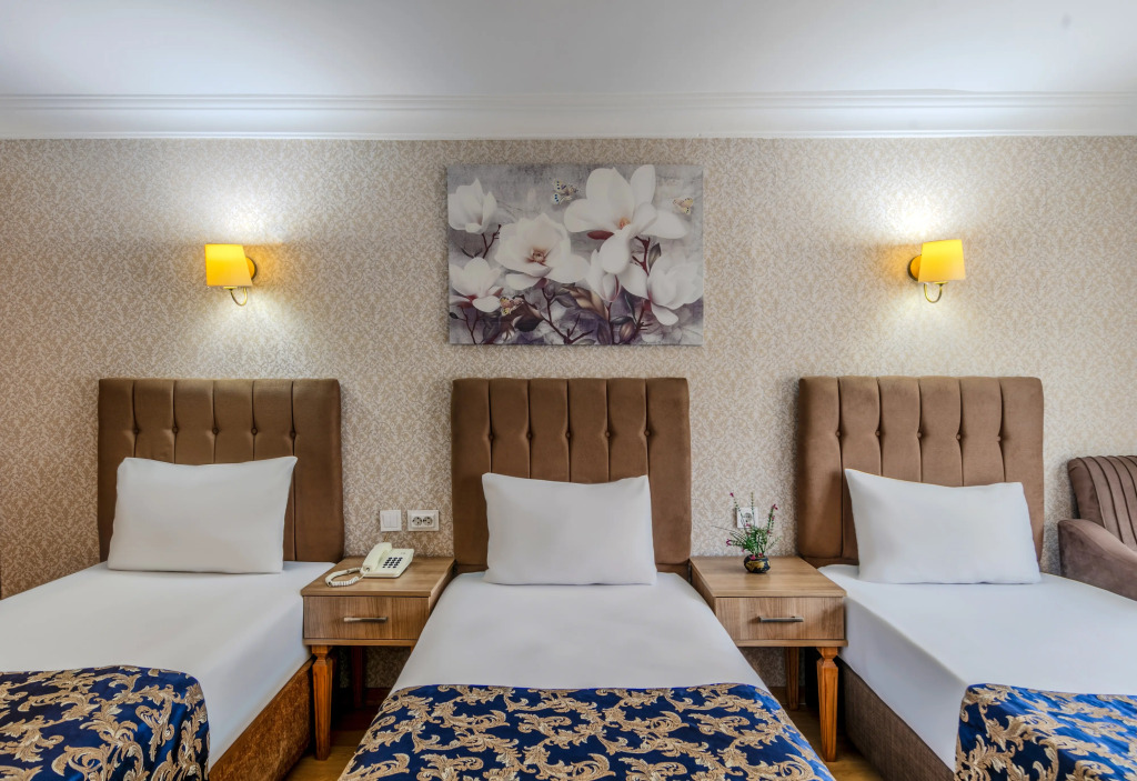 Hamit Hotel Istanbul - Special Category
