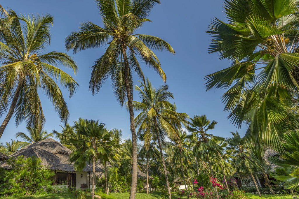 The Palms Zanzibar