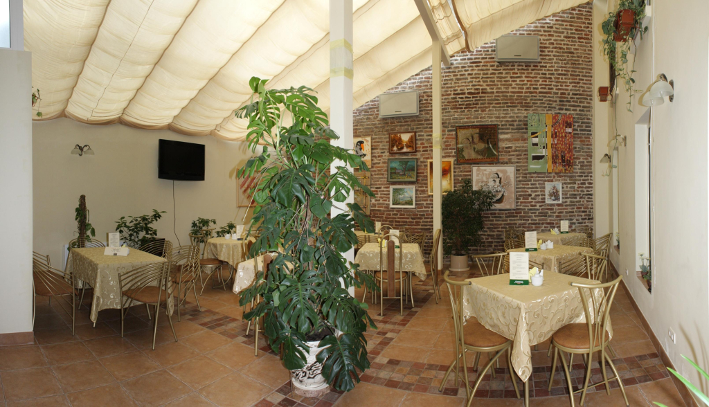 Hotel Irena