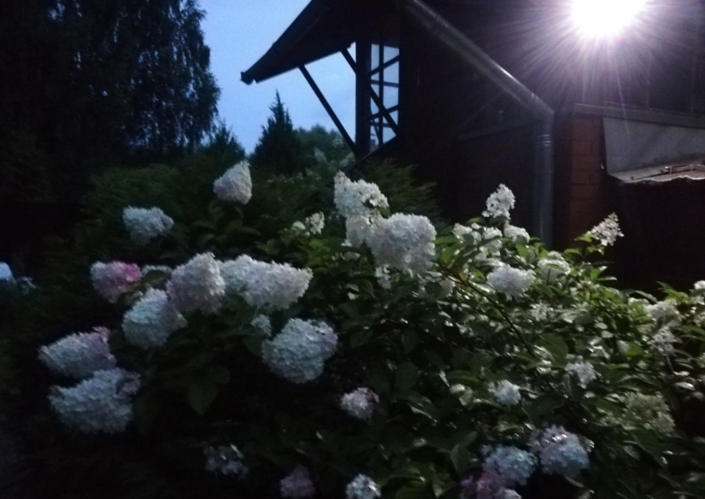Dlya Dushi I Serdtsa U Mozhayskogo Morya Guest house
