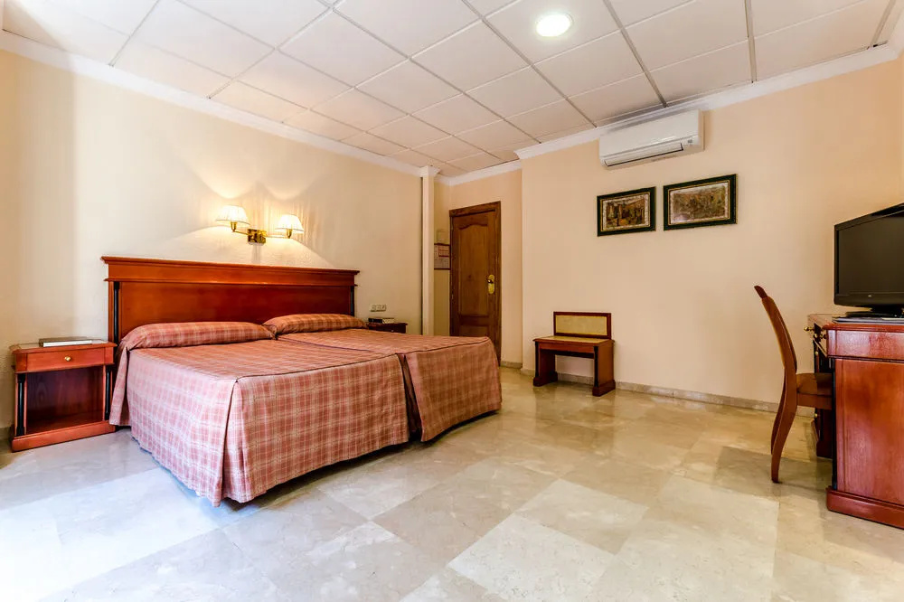 Imagen de Hotel Sacromonte (8 de 27)