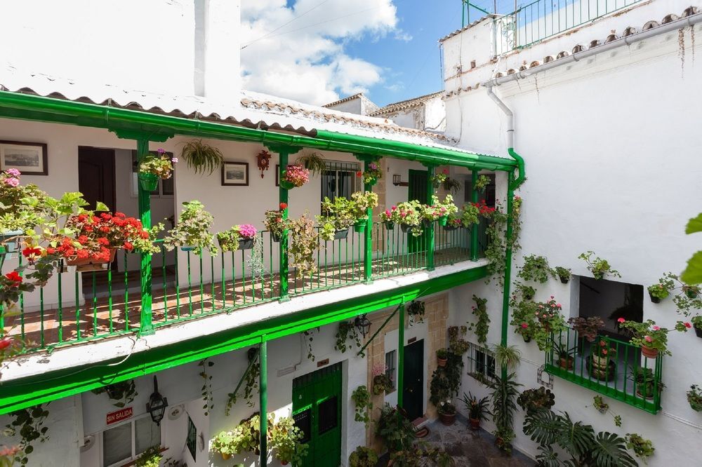 Imagen de Apartamentos Jerez (15 de 15)